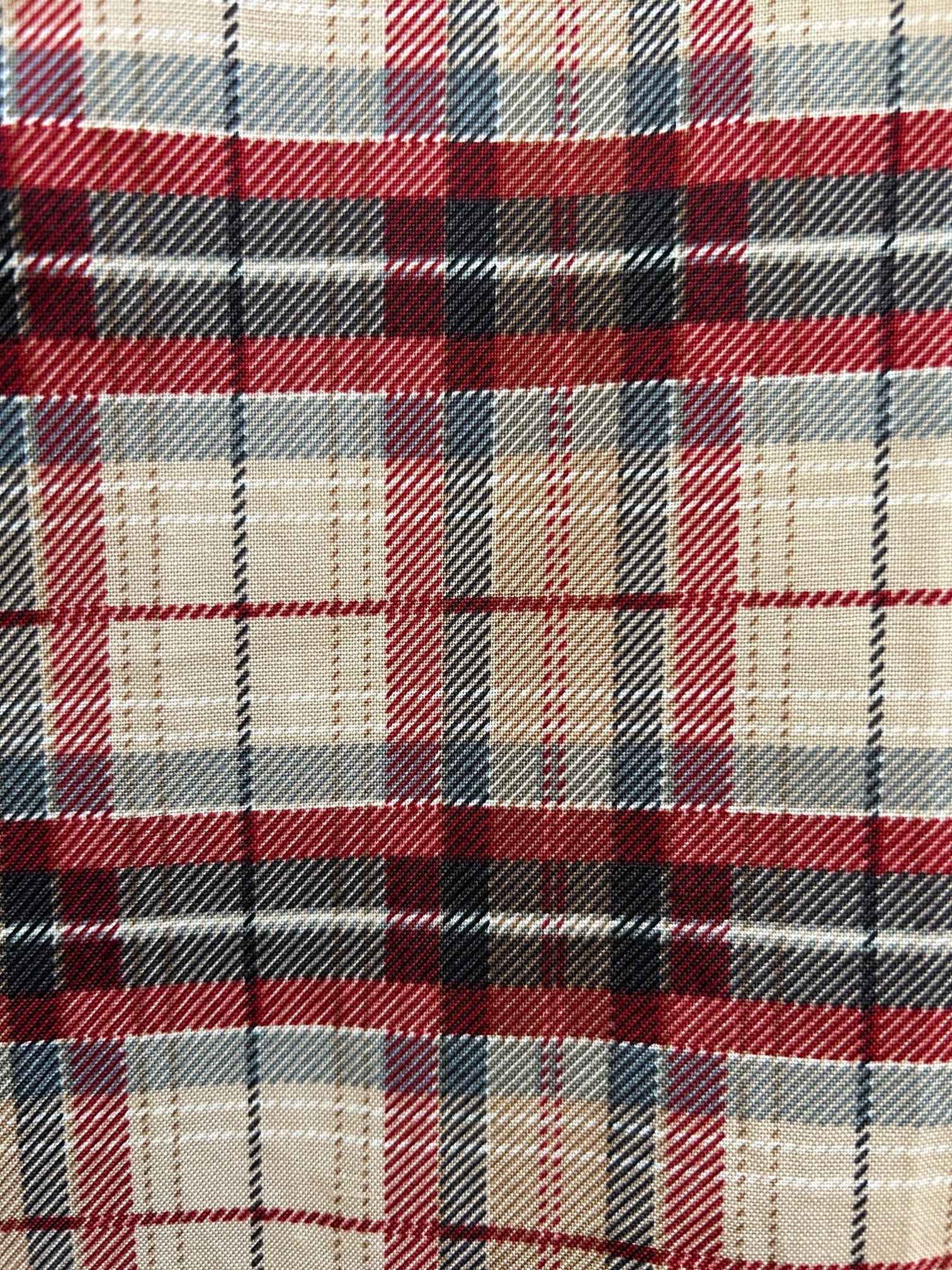 Plaid Skater Skirt