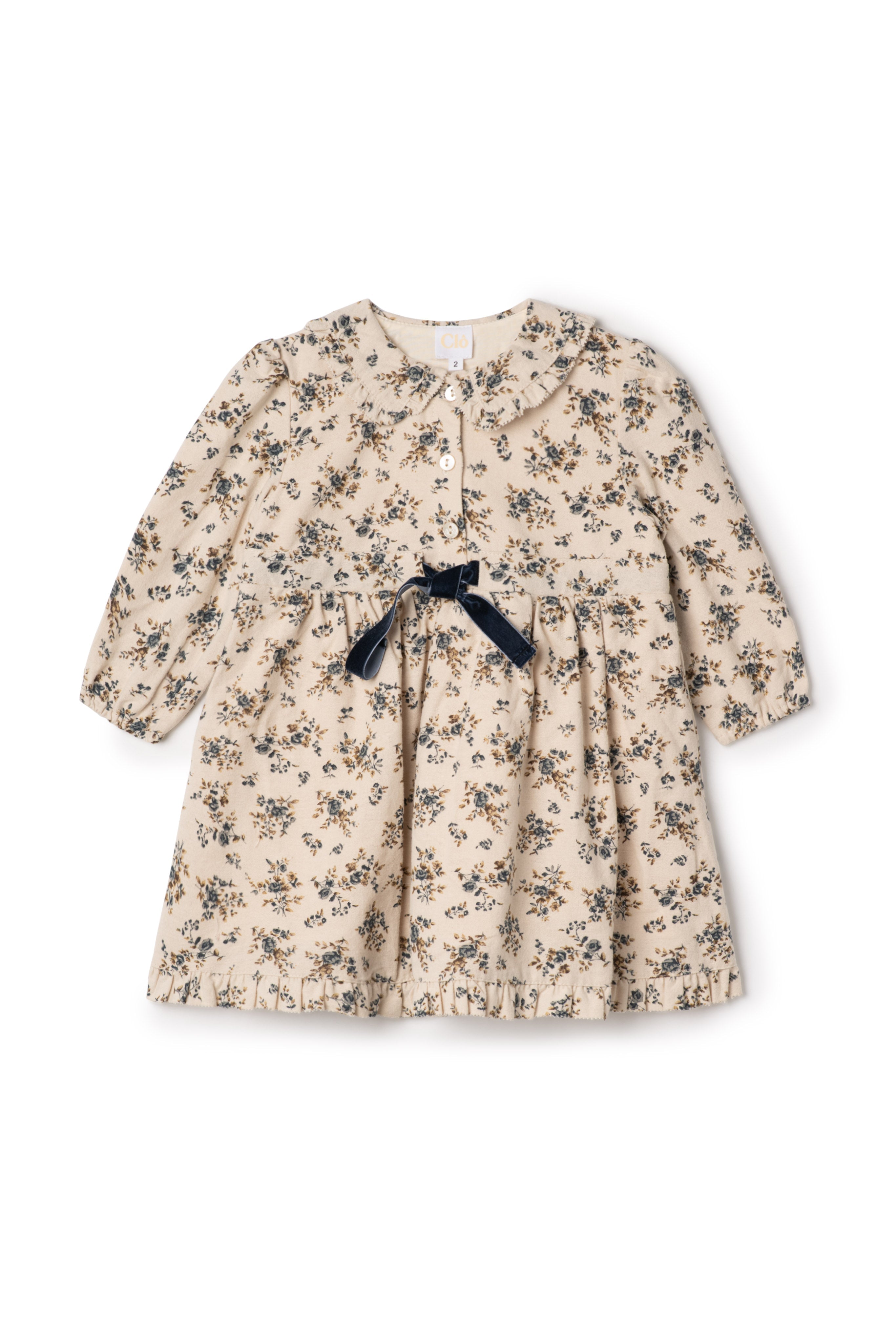 Flower Print Lace Dress